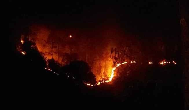 बागेश्वर के पौड़ीधार के जंगल में शनिवार की रात लगी आग। संवाद न्यूज एजेंसी बागेश्वर के पौड़ीधार के जंगल में शनिवार की रात लगी आग। संवाद न्यूज एजेंसी