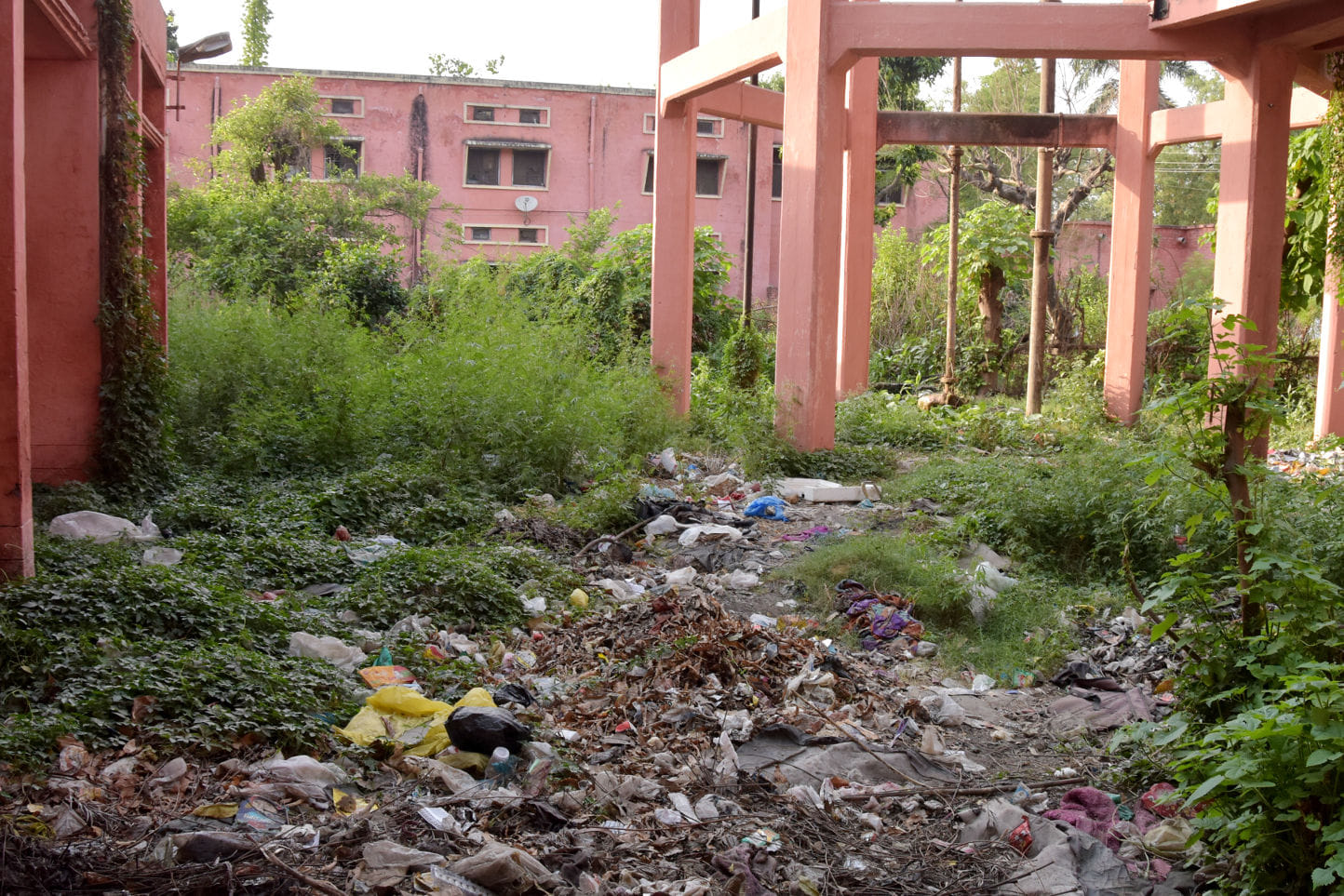 जिला अस्पताल परिसर में बर्न वार्ड के पीछे फैली गंदगी और खड़ी झाड़ियां। जिला अस्पताल परिसर में बर्न वार्ड के पीछे फैली गंदगी और खड़ी झाड़ियां।