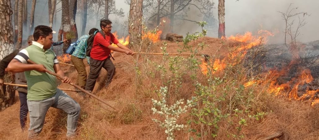अल्मोड़ा सोमेश्वर में आग बुझाते वनकर्मी अल्मोड़ा सोमेश्वर में आग बुझाते वनकर्मी