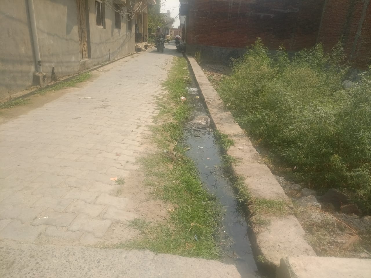 शाहजहांपुर के मोहल्ला लोदीपुर में चोक नाली और उगी घास