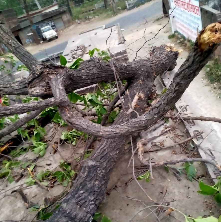 नजीबाबाद के समीपुर क्षेत्र में हाइवे पर गिरा पेड़। नजीबाबाद के समीपुर क्षेत्र में हाइवे पर गिरा पेड़।