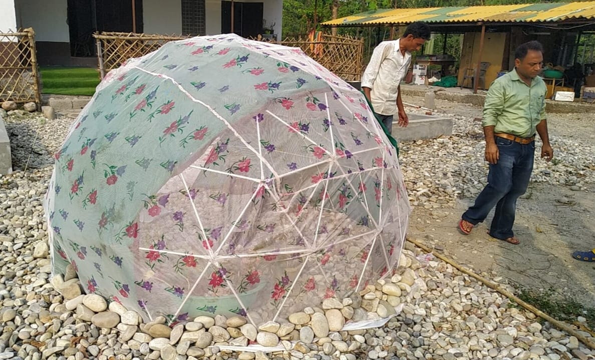 परिवास में तितलियों के लिए बनाया गया तंबू। परिवास में तितलियों के लिए बनाया गया तंबू।