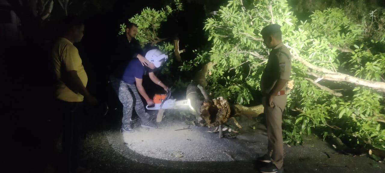 ल्ट क्षेत्र में अंधड़ से सड़क पर गिरा पेड़ हटाती पुलिस और एसडीआरएफ।