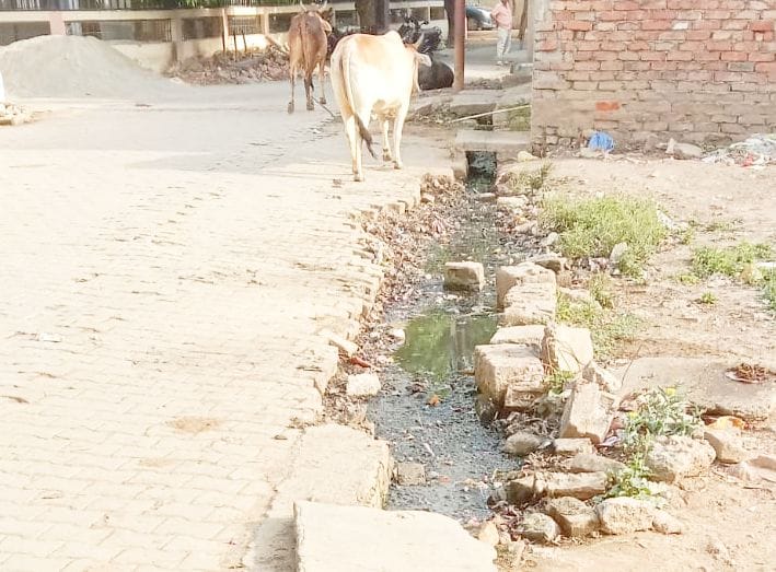 आवास विकास कॉलोनी में टूटी पड़ी नाली आवास विकास कॉलोनी में टूटी पड़ी नाली