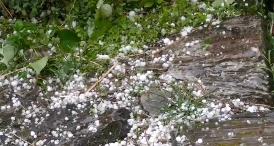 बागेश्वर के शामा में हुई ओलावृष्टि। विज्ञप्ति बागेश्वर के शामा में हुई ओलावृष्टि। विज्ञप्ति