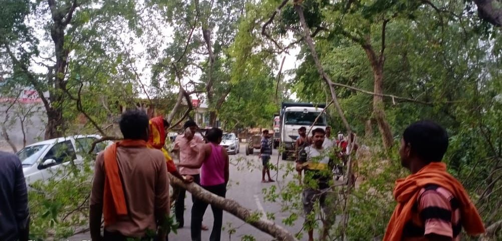 आंधी के दौरान कनैली में सड़क पर गिरे पेड़ को हटाते लोग आंधी के दौरान कनैली में सड़क पर गिरे पेड़ को हटाते लोग