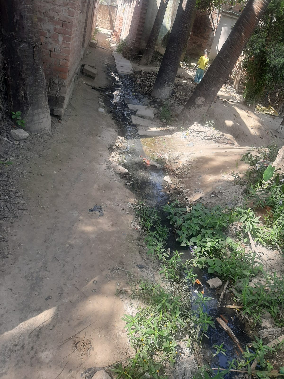 निषाद नगर में गली के बीच सड़क पर बहता गंदा पानी।