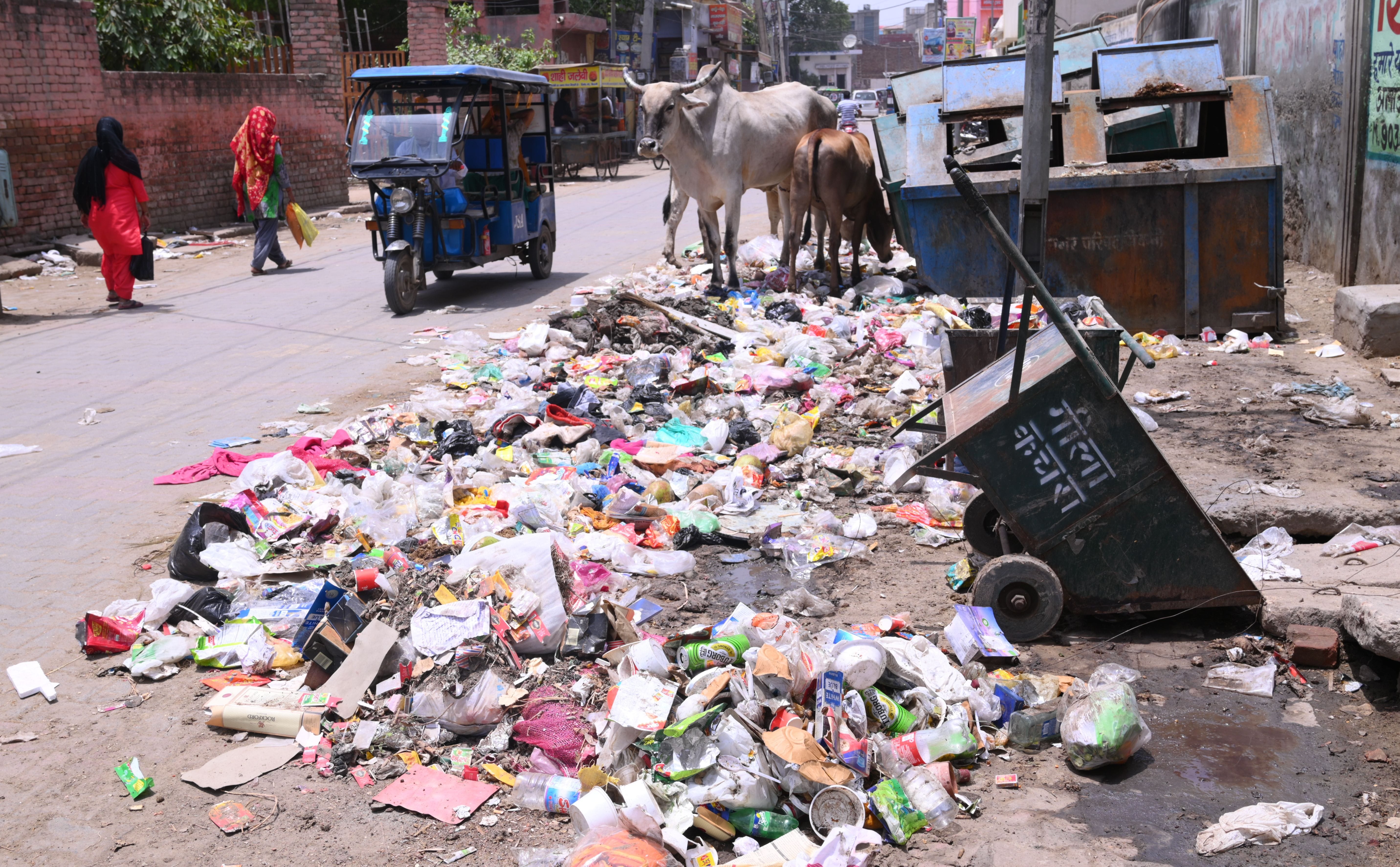 दिनोद गेट वैश्य स्कूल के पास सड़क पर फैले कचरे के पास से गुजरते राहगीर। दिनोद गेट वैश्य स्कूल के पास सड़क पर फैले कचरे के पास से गुजरते राहगीर।