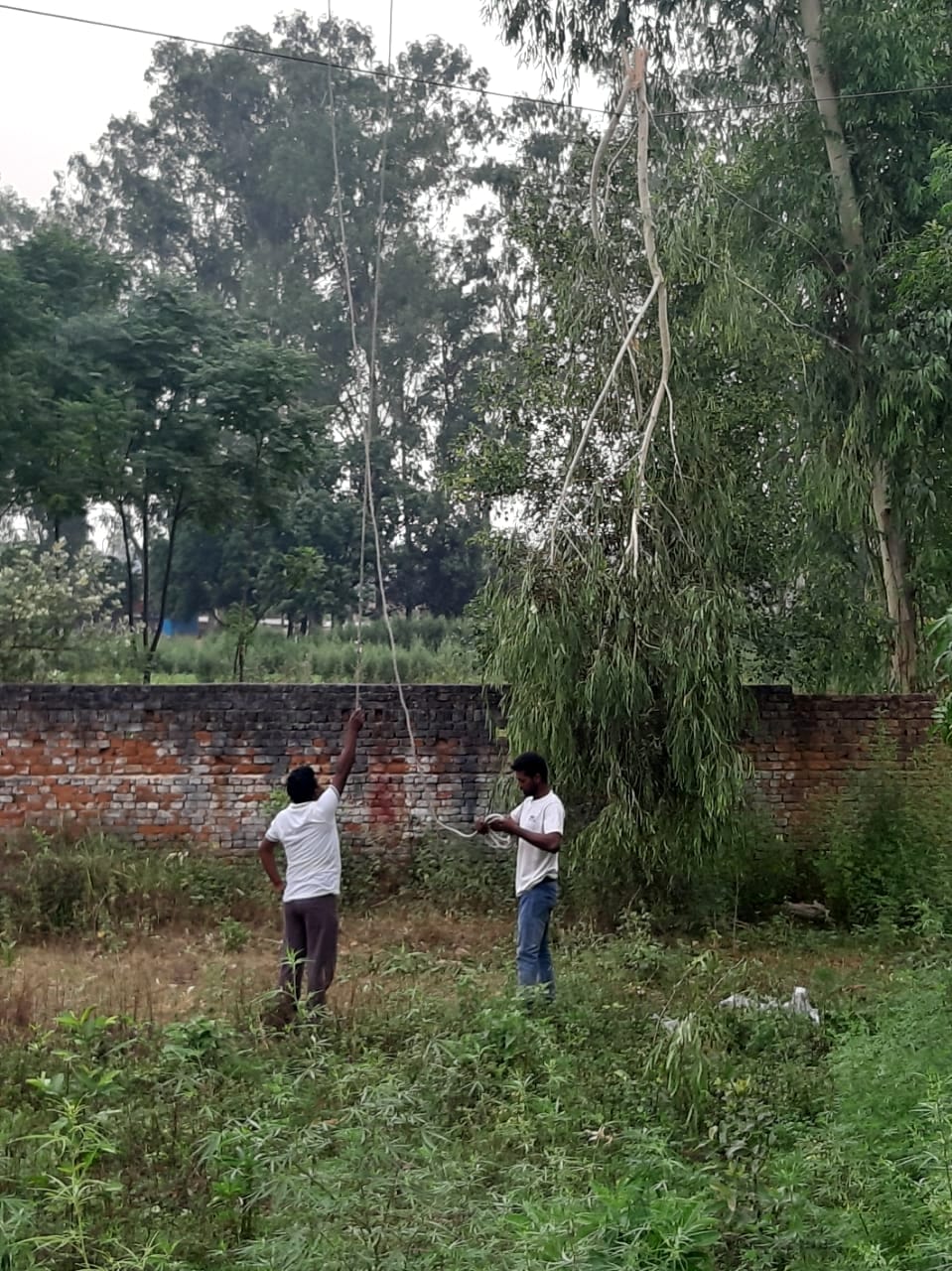 बिजनौर में आंधी से विद्युत लाइन पर गिरे पेड़ को हटाती कर्मचारी। बिजनौर में आंधी से विद्युत लाइन पर गिरे पेड़ को हटाती कर्मचारी।