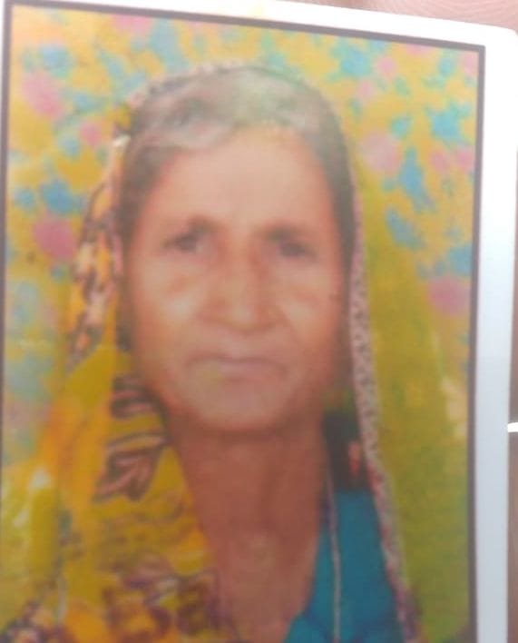 कैलाशी देवी का फाइल फोटो। कैलाशी देवी का फाइल फोटो।