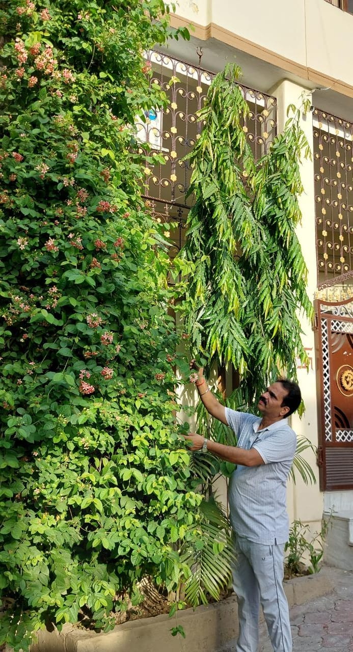 चरथावल में पौधों की देखभाल करते अजय वर्मा चरथावल में पौधों की देखभाल करते अजय वर्मा