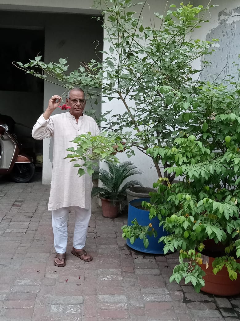 घर के आंगन में खड़े पारिजात पौधे के पास खड़े के पी सिंह। घर के आंगन में खड़े पारिजात पौधे के पास खड़े के पी सिंह।