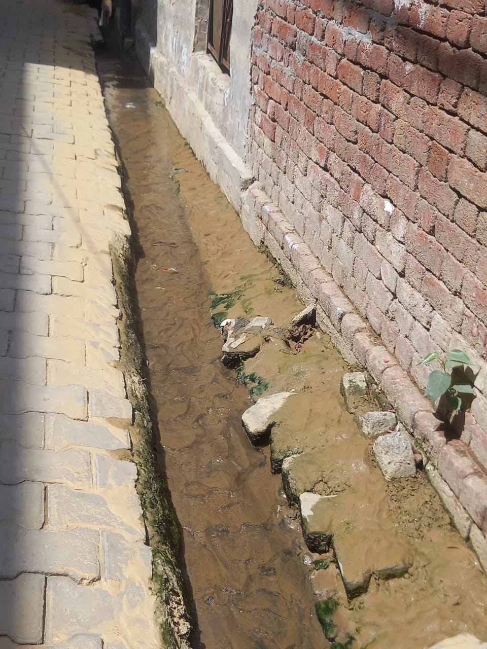 बागपत की गली नम्बर दो स्थित ट्यूबवैल की सफाई के दौरान पानी में बहती मिट्टी