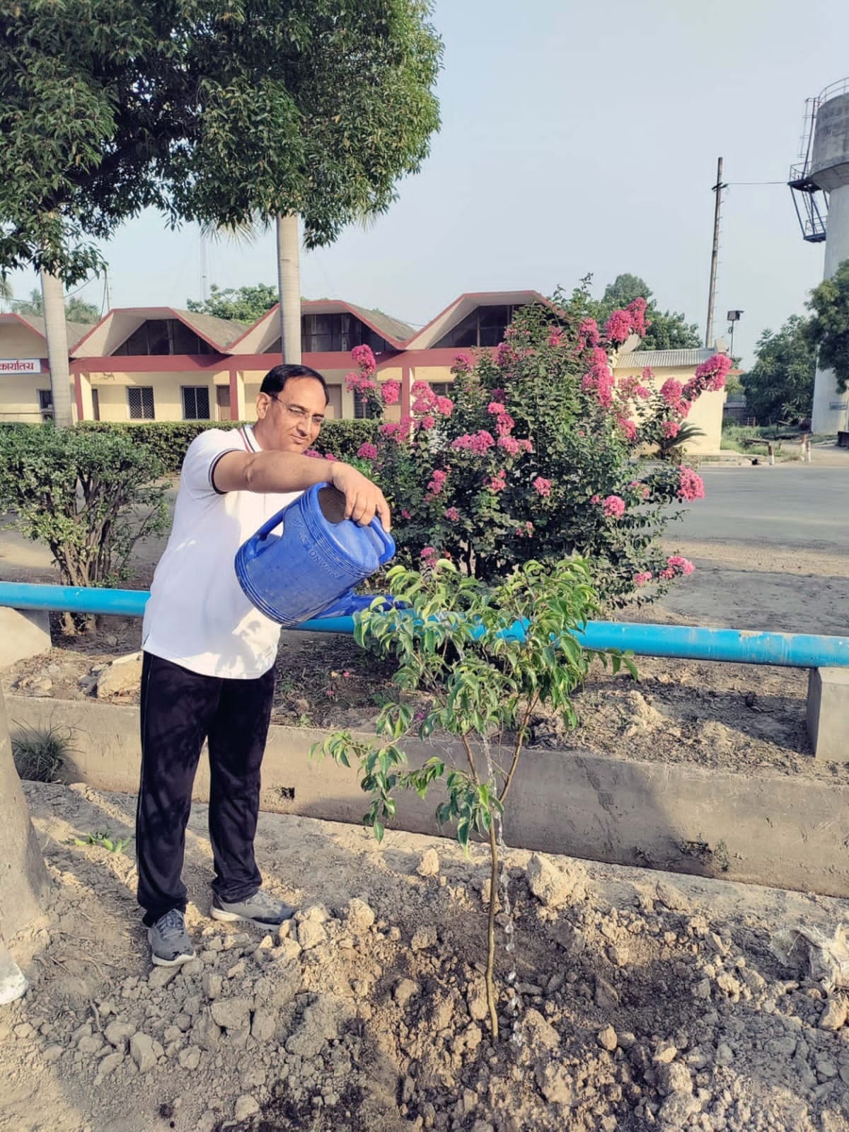 बुदंकी मिल में पौधरोपण के बाद पानी देते अधिकारी।