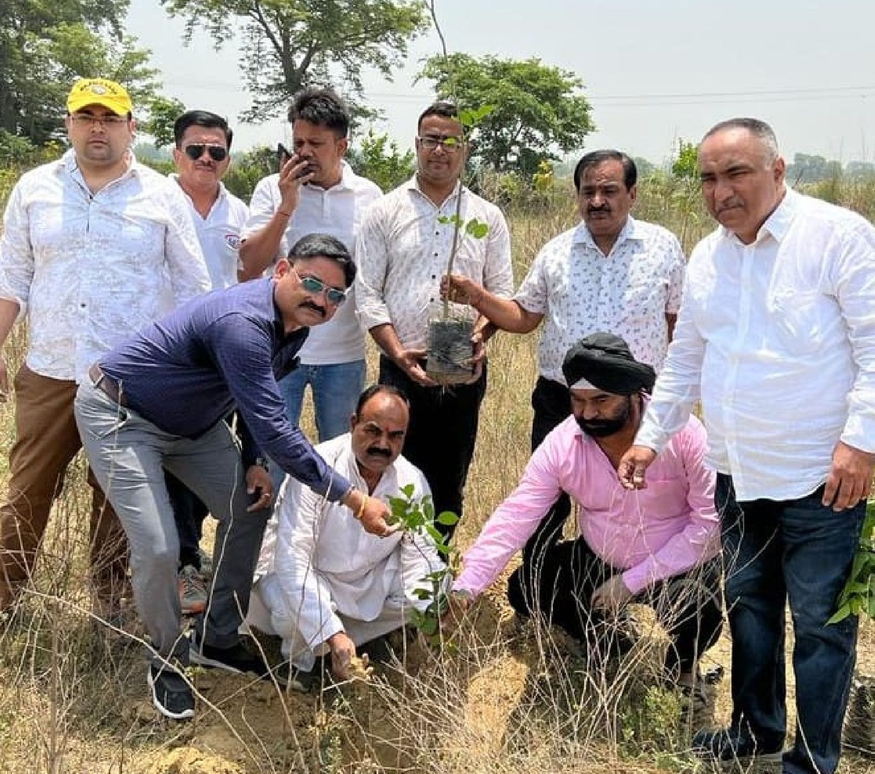 शाहजहांपुर में विश्व पर्यावरण दिवस पर पौधा परोण करते उद्योग व्यापार मंडल के पधधिकारी। संवाद