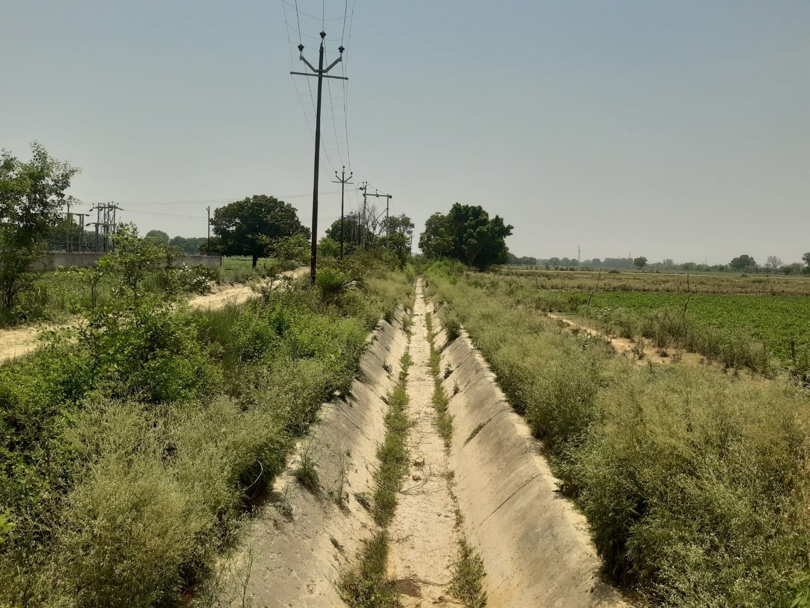  सूखा पड़ा दौलतपुर माइनर। संवाद
