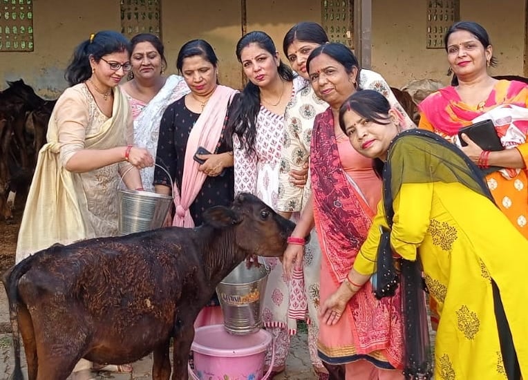 कंगा दशहरा पर गोशला में बछड़ों को पानी पिलाती गोवंश सेवा महिला समिति की सदस्य। कंगा दशहरा पर गोशला में बछड़ों को पानी पिलाती गोवंश सेवा महिला समिति की सदस्य।