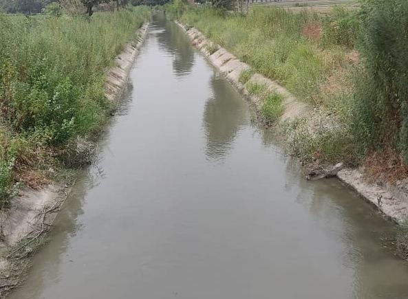 फफूंद रजबहा में छोड़ा गया पानी। संवाद फफूंद रजबहा में छोड़ा गया पानी। संवाद