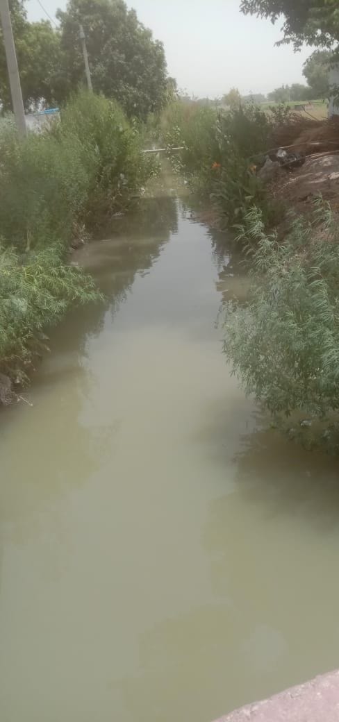 कोठीपुर रजबहा में बहता पानी। संवाद कोठीपुर रजबहा में बहता पानी। संवाद