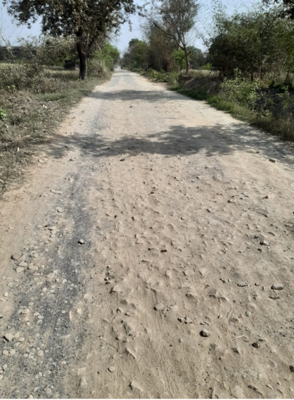 रानीपुर ब्लाक क्षेत्र के दौलसेपुर से तेंदुली नहर चट्टी तक जाने वाली बदहाल जजर्र सड़क।संवाद रानीपुर ब्लाक क्षेत्र के दौलसेपुर से तेंदुली नहर चट्टी तक जाने वाली बदहाल जजर्र सड़क।संवाद