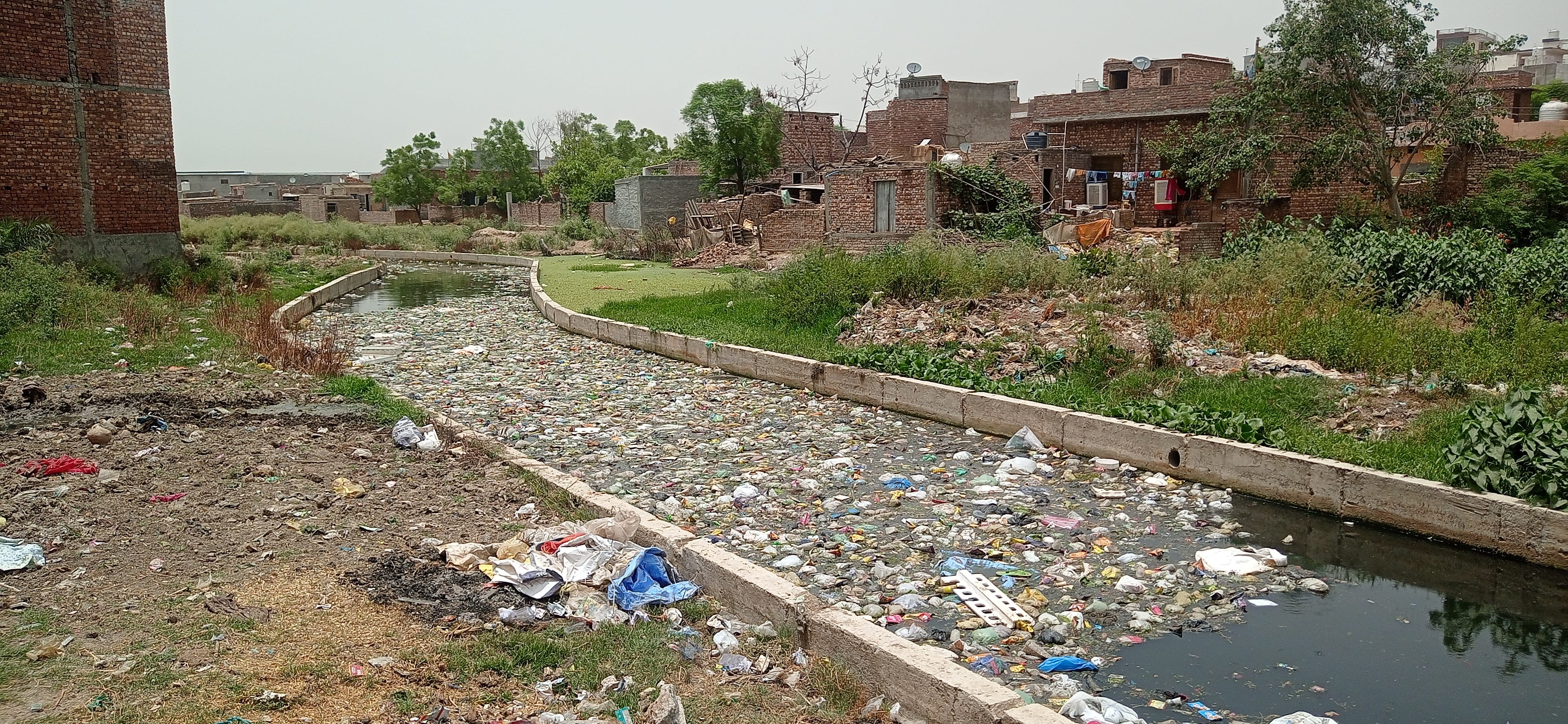 दुर्गा कॉलोनी के पीछे गंदगी से भरा बरसाती नाला। संवाद दुर्गा कॉलोनी के पीछे गंदगी से भरा बरसाती नाला। संवाद