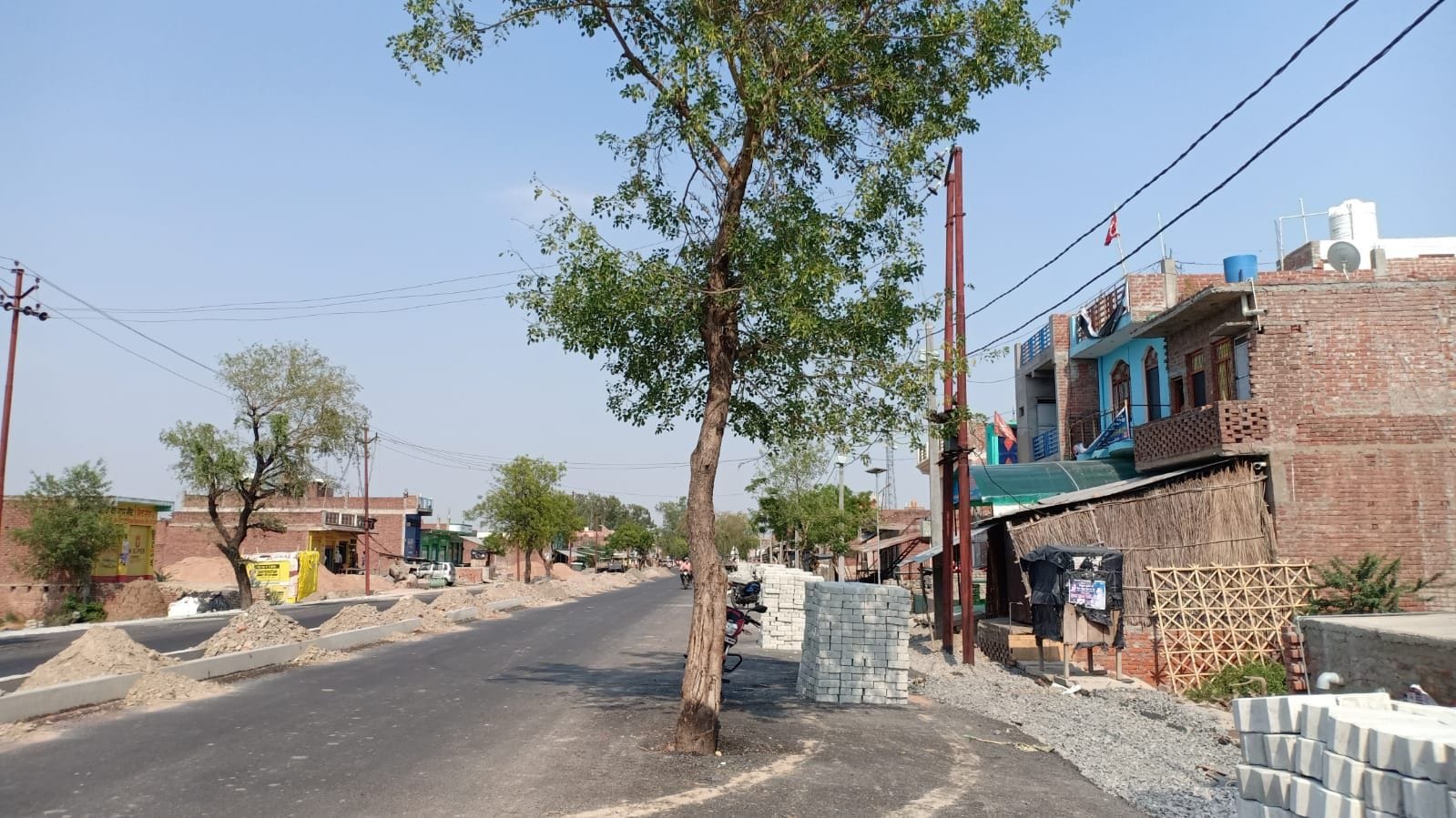 बीच सड़क पर खड़े पेड़। संवाद बीच सड़क पर खड़े पेड़। संवाद