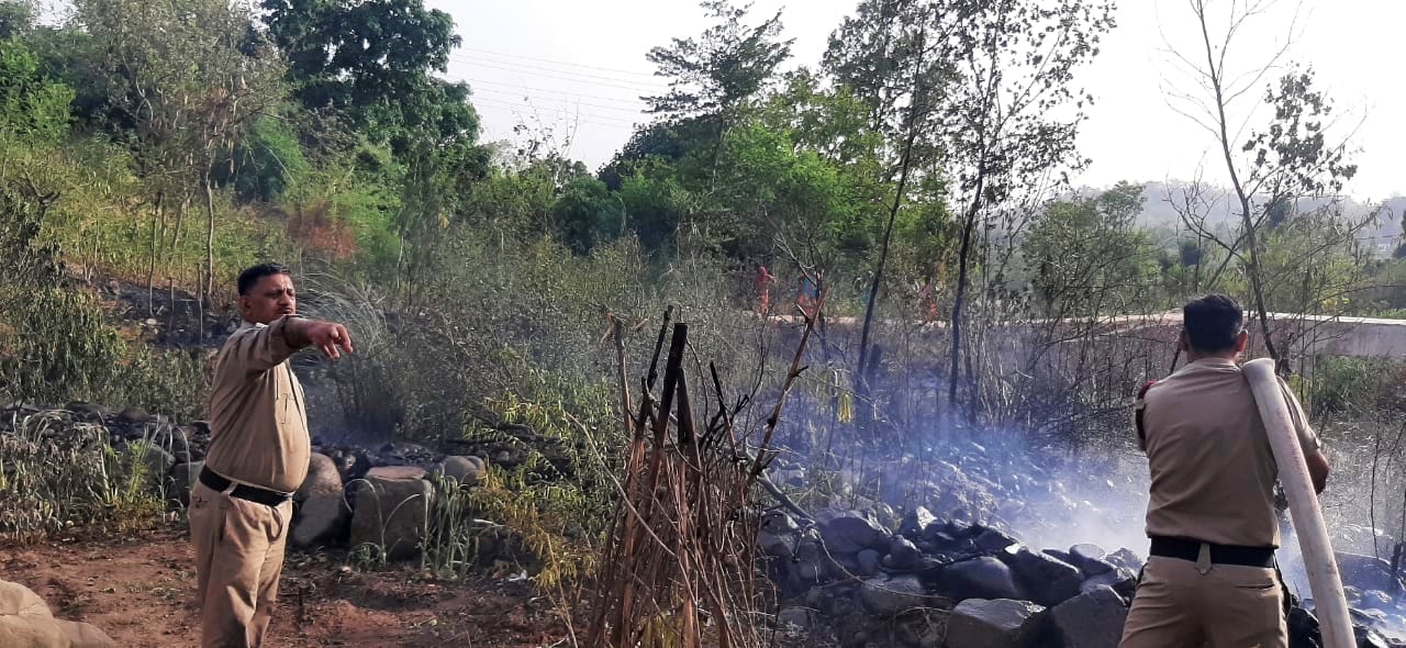 विक्रम बाग में जंगल में भड़की आग पर काबू पाने का प्रयास करते दमकल विभाग नाहन के कर्मचारी। संवाद विक्रम बाग में जंगल में भड़की आग पर काबू पाने का प्रयास करते दमकल विभाग नाहन के कर्मचारी। संवाद