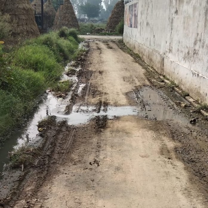कैराना के ऊंचा गांव में गलियों में गंदगी। कैराना के ऊंचा गांव में गलियों में गंदगी।