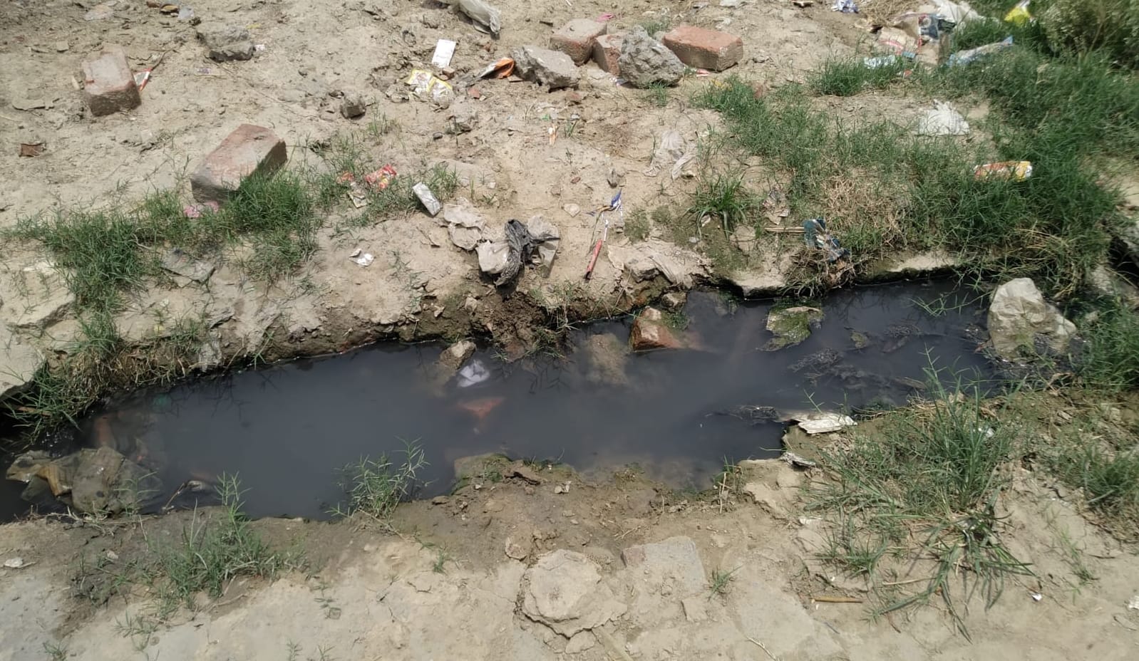 ज्ञानपुर के वार्ड सात में गंदगी से पटी नाली। संवाद