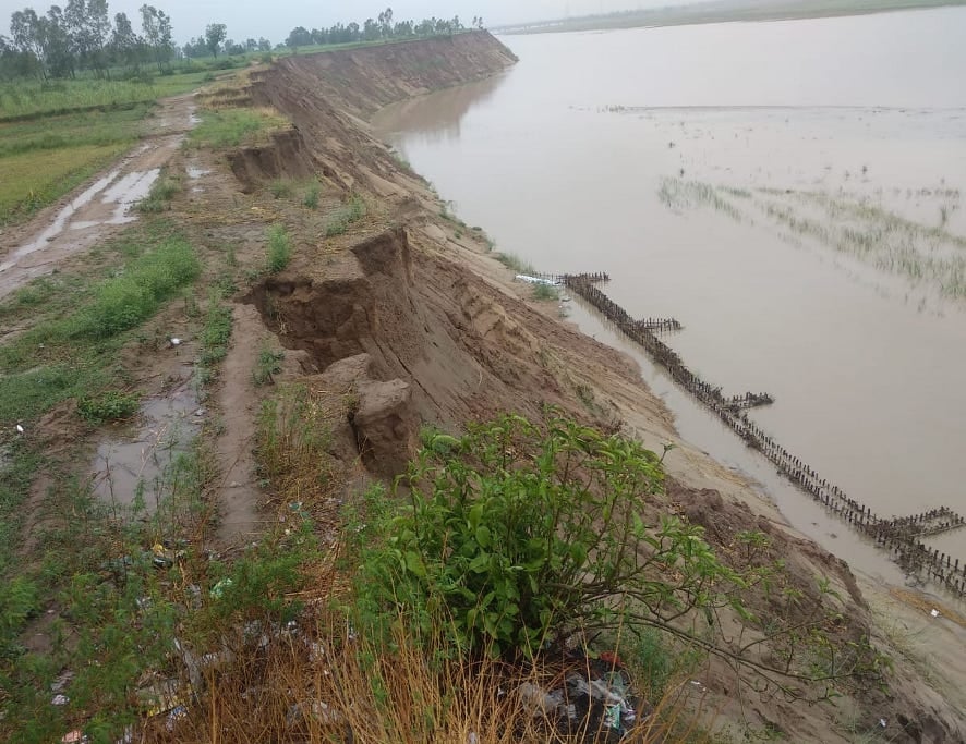 नांगलसोती के गौसपुर का कटान क्षेत्र। नांगलसोती के गौसपुर का कटान क्षेत्र।