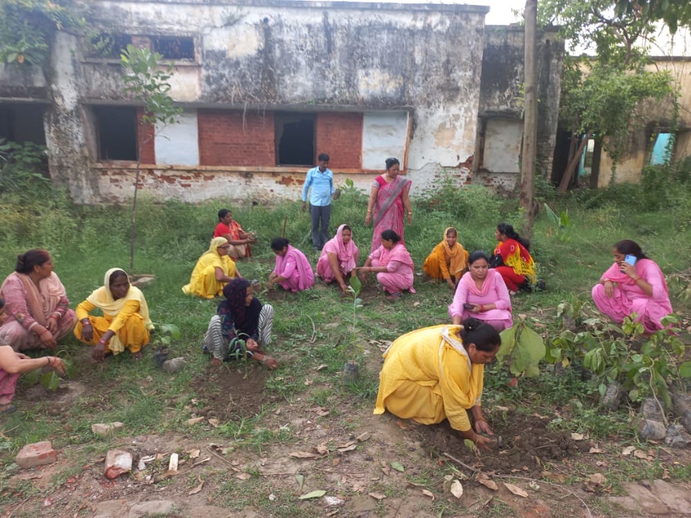 गंगोह में बाल विकास परियोजना कार्यालय पर पौधा रोपण करती आंगनवाड़ी कार्यकत्रियां गंगोह में बाल विकास परियोजना कार्यालय पर पौधा रोपण करती आंगनवाड़ी कार्यकत्रियां