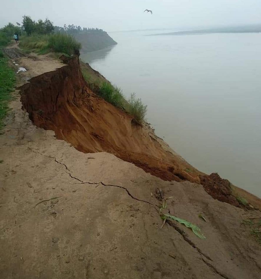 नांगलसोती के गांव सौफतपुर में कृषि भूमि का कटान करती गंगा नदी। नांगलसोती के गांव सौफतपुर में कृषि भूमि का कटान करती गंगा नदी।