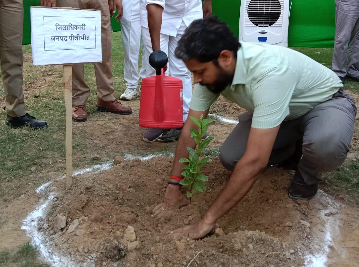 पौधरोपण करते डीएम पुलकित खरे। पौधरोपण करते डीएम पुलकित खरे।