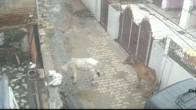 टक्कर लगने से पास बने नाले में गिरा बच्चा।