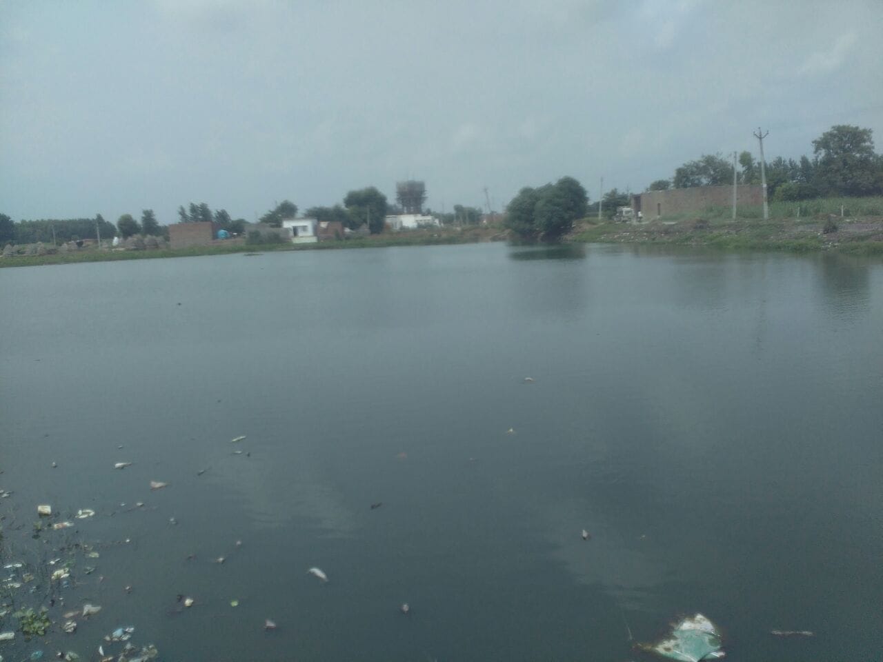 बसोद गांव का तालाब
