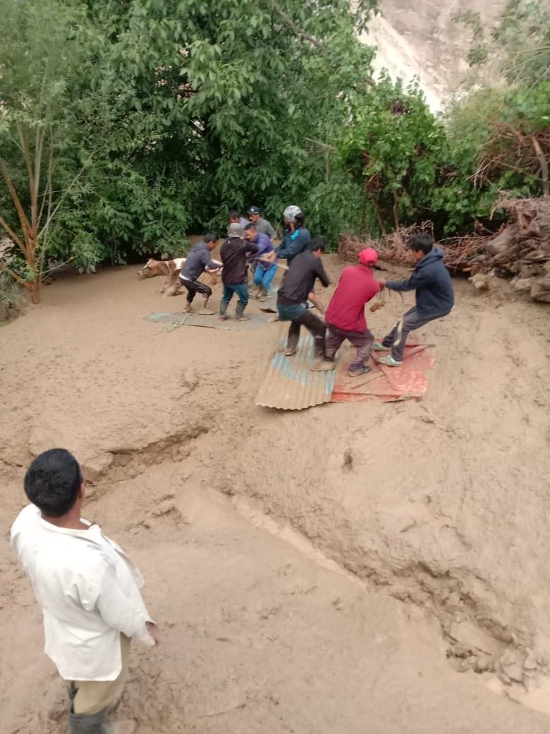 लियो पंचायत में बाढ़ आने से दबे पशुओं का बाहर निकालते लोग लियो पंचायत में बाढ़ आने से दबे पशुओं का बाहर निकालते लोग