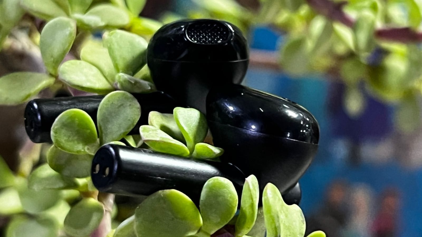 Mivi DuoPods A350 Review: рдХрдо рдХреАрдордд рдореЗрдВ рдкреНрд░реАрдорд┐рдпрдо рдбрд┐рдЬрд╛рдЗрди рдФрд░ 50 рдШрдВрдЯреЗ рдмреИрдЯрд░реА рдмреИрдХрдЕрдк рд╡рд╛рд▓рд╛ рдИрдпрд░рдмрдбреНрд╕