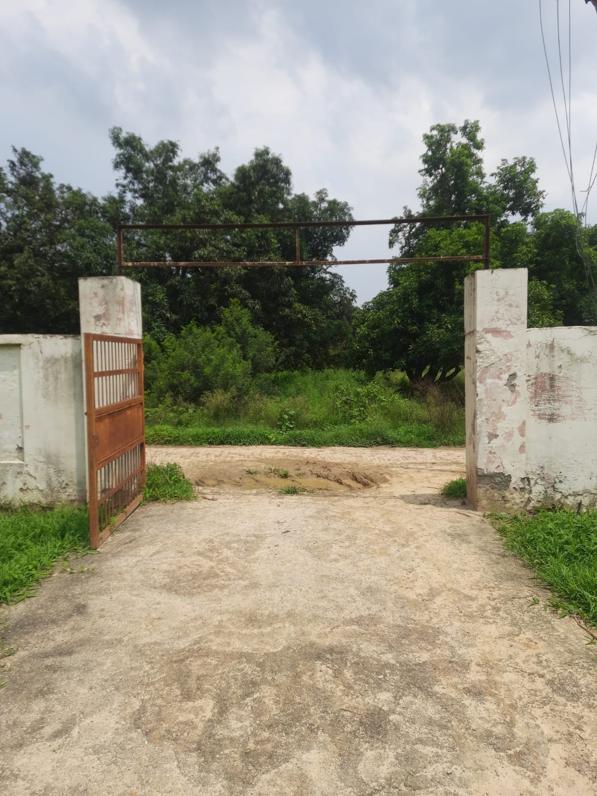 बिना गेट का रटौल प्राथमिक स्वास्थ केंद्र बिना गेट का रटौल प्राथमिक स्वास्थ केंद्र
