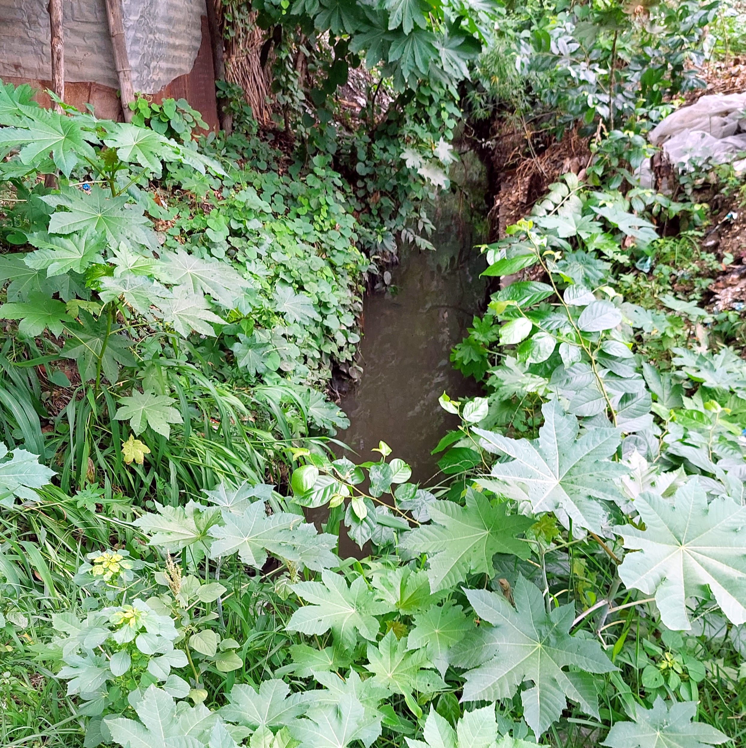बिजनौर में बीएसए कार्यालय के बाहर खस्ताहल नाला। बिजनौर में बीएसए कार्यालय के बाहर खस्ताहल नाला।
