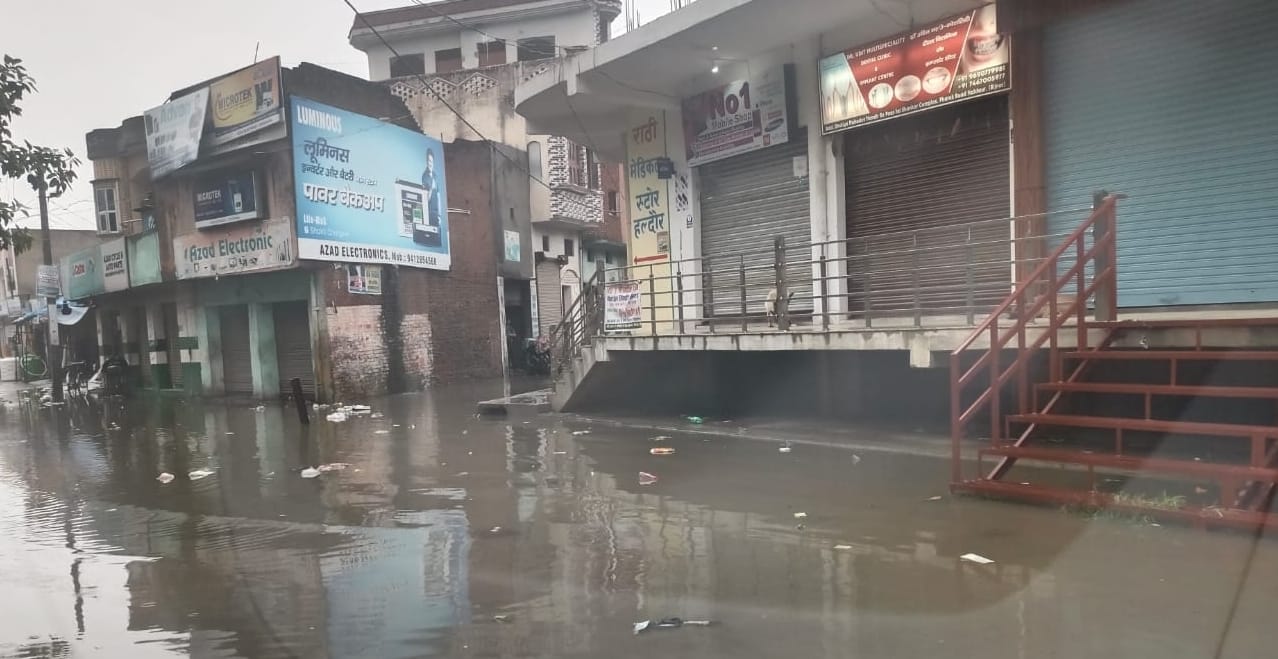 हल्दौर के मोहल्ला हरिनगर कॉलोनी में बारिश से हुआ जलभराव। हल्दौर के मोहल्ला हरिनगर कॉलोनी में बारिश से हुआ जलभराव।
