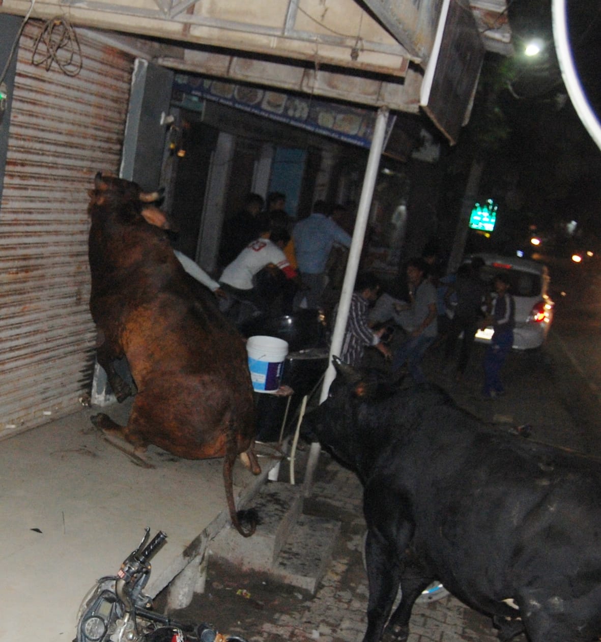 बागपत कोर्ट रोड पर खड़ी बाइक और दुकान के पास गोवंश पहुंचने के दौरान जान बचाकर भागते लोग।