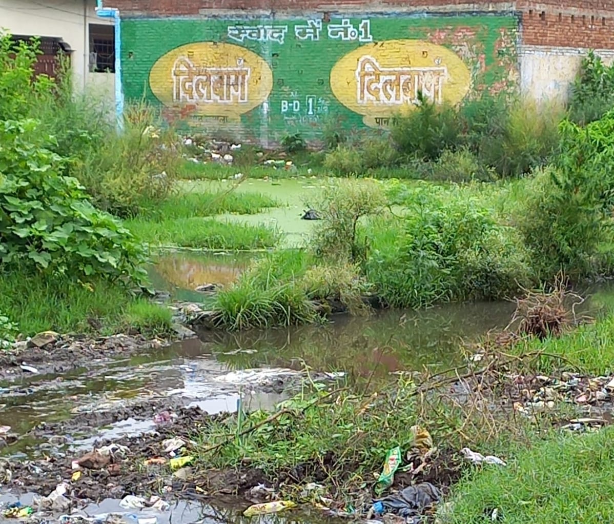 बिजनौर-झालू मार्ग पर अंबे बिहार कालोनी के सामाने खाली प्लाट में भरा पानी। बिजनौर-झालू मार्ग पर अंबे बिहार कालोनी के सामाने खाली प्लाट में भरा पानी।