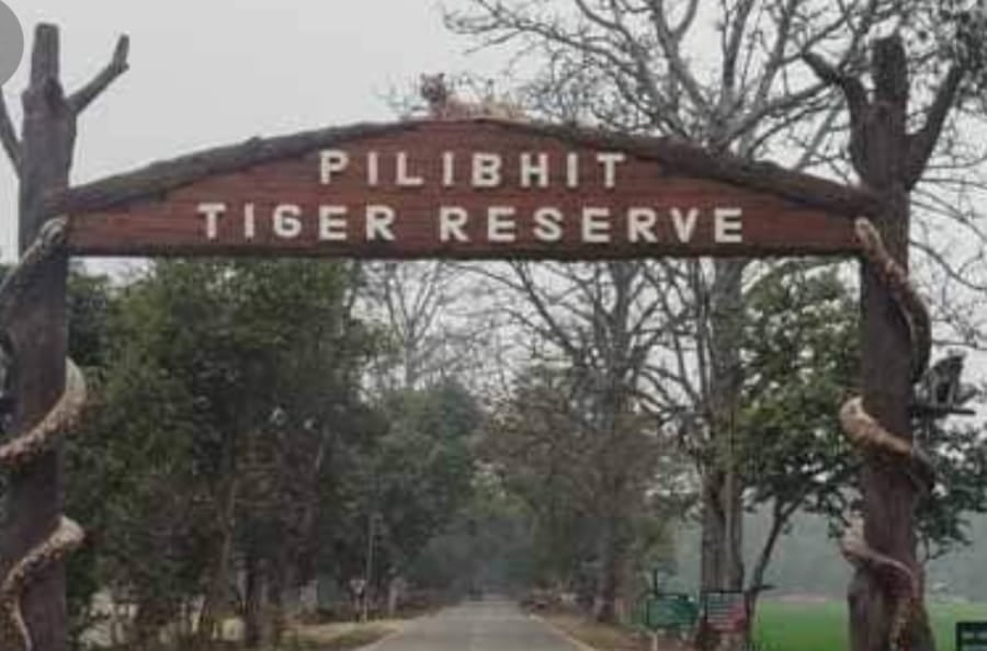 पीलीभीत टाइगर रिजर्व का मुख्य द्वार। संवाद