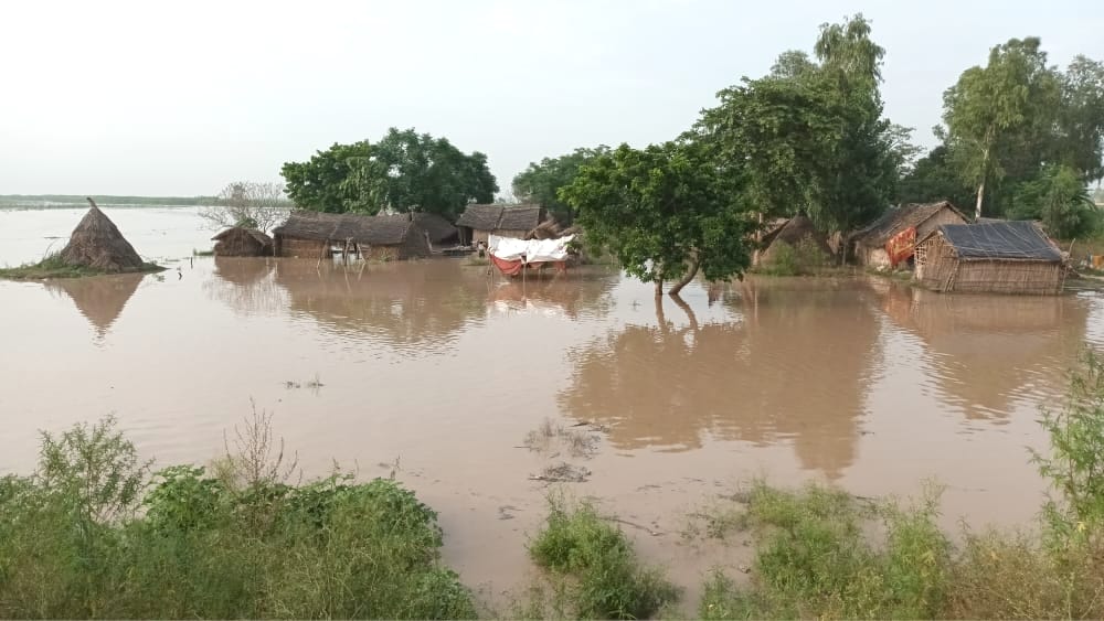 बिजनौर के ग्राम ब्रहमपुरी में गंगा का जलस्तर बढ़ने से झोपड़ियों में भरा पानी। बिजनौर के ग्राम ब्रहमपुरी में गंगा का जलस्तर बढ़ने से झोपड़ियों में भरा पानी।