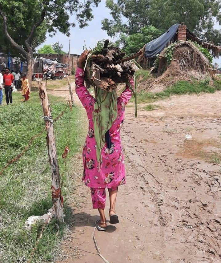 चंदक क्षेत्र में गंगा में बहकर आने वाले लकड़ियां ले जाती महिला। चंदक क्षेत्र में गंगा में बहकर आने वाले लकड़ियां ले जाती महिला।