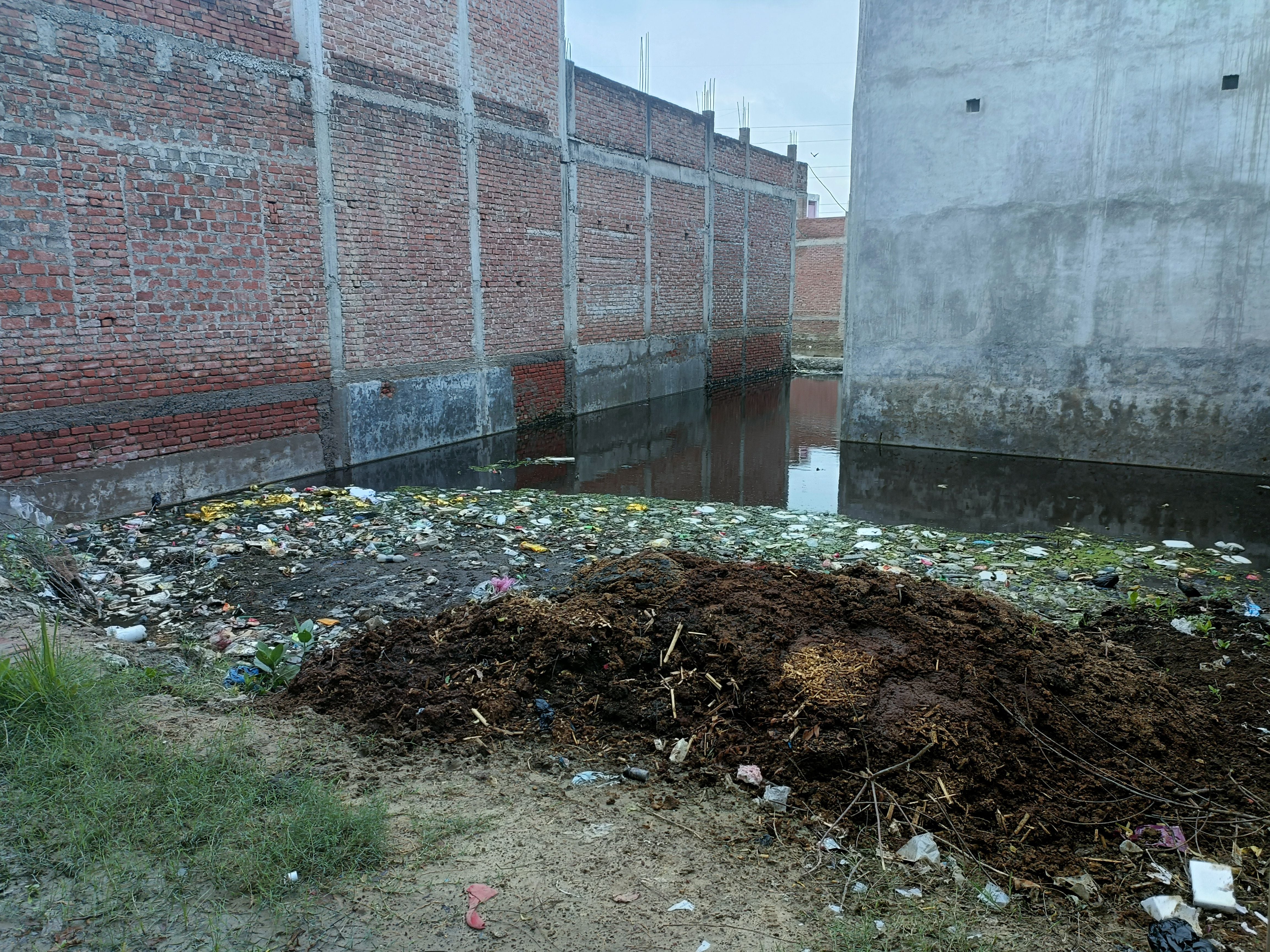 जलनिकासी न होने के कारण गलियों के चौराहे पर खाली जगह में भरा पानी जलनिकासी न होने के कारण गलियों के चौराहे पर खाली जगह में भरा पानी