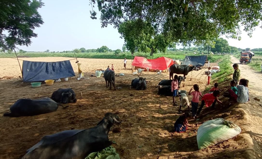 घरों में पानी भर जाने की वजह से खेतों में तंबू लगाकर रह रहे खेरापुरा गांव के लोग। संवाद घरों में पानी भर जाने की वजह से खेतों में तंबू लगाकर रह रहे खेरापुरा गांव के लोग। संवाद