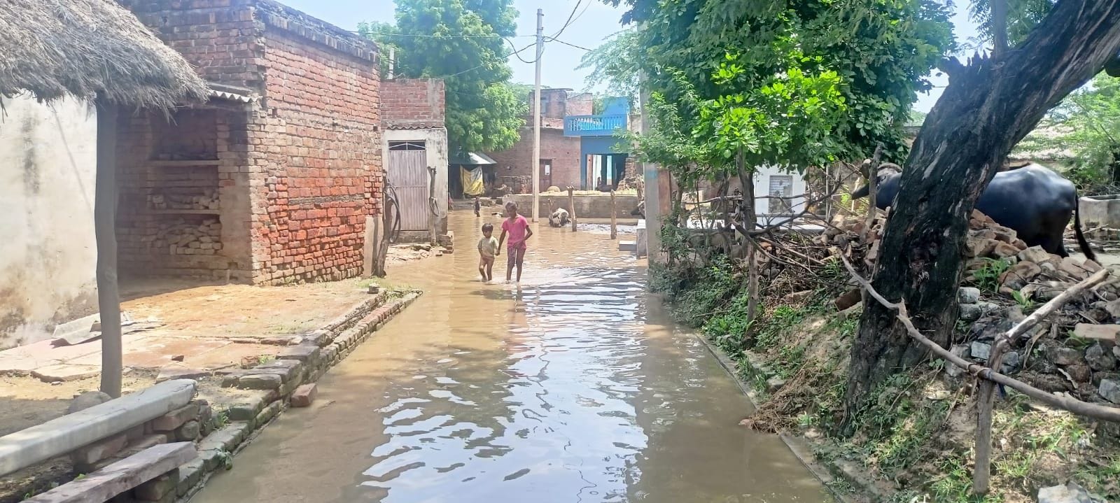 इटावाः गोहानी गांव की गली में भरे पानी से गुजरते बच्चे। संवाद इटावाः गोहानी गांव की गली में भरे पानी से गुजरते बच्चे। संवाद