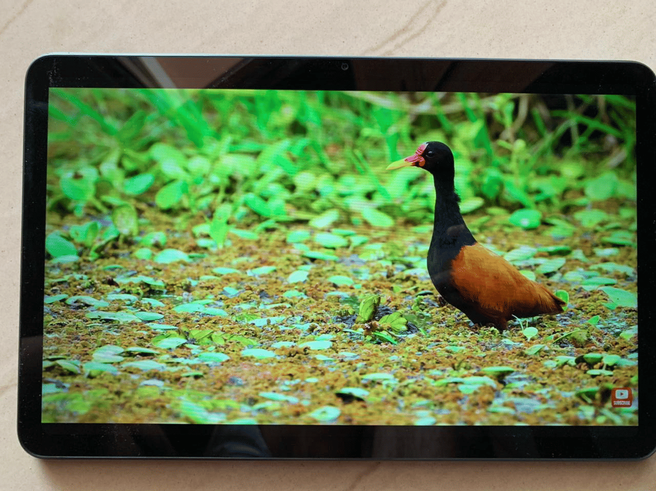 Oppo Pad Air Review: कैसा है ओप्पो का यह पहला टैबलेट, पढ़ें रिव्यू