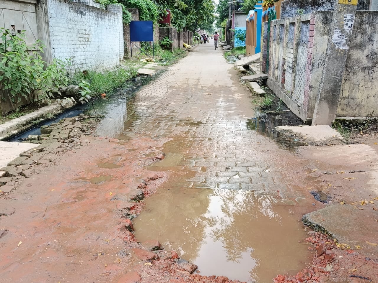राजीवनगर वार्ड में बदहाल सड़क। राजीवनगर वार्ड में बदहाल सड़क।